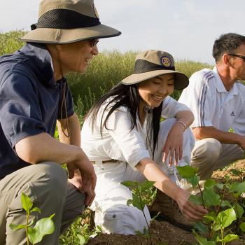 Overview peep of action 700x700